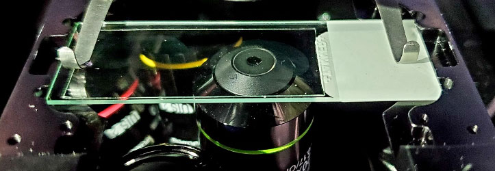 4 Steps for a Successful Return to the Lab [+ Free Troubleshooting ...