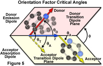 Fluorescence Resonance Energy Transfer (FRET) Microscopy