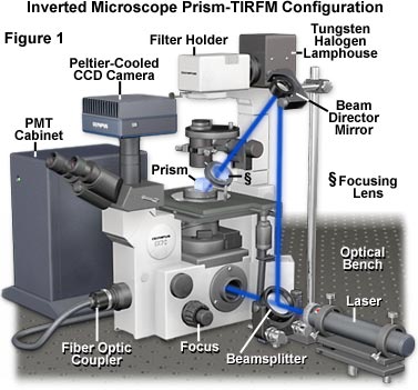 Basic Microscope Configuration